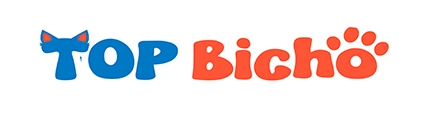 Top Bicho